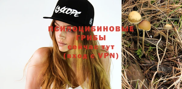 не бодяженный Няндома