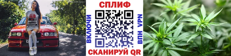 Конопля индика  Пущино 